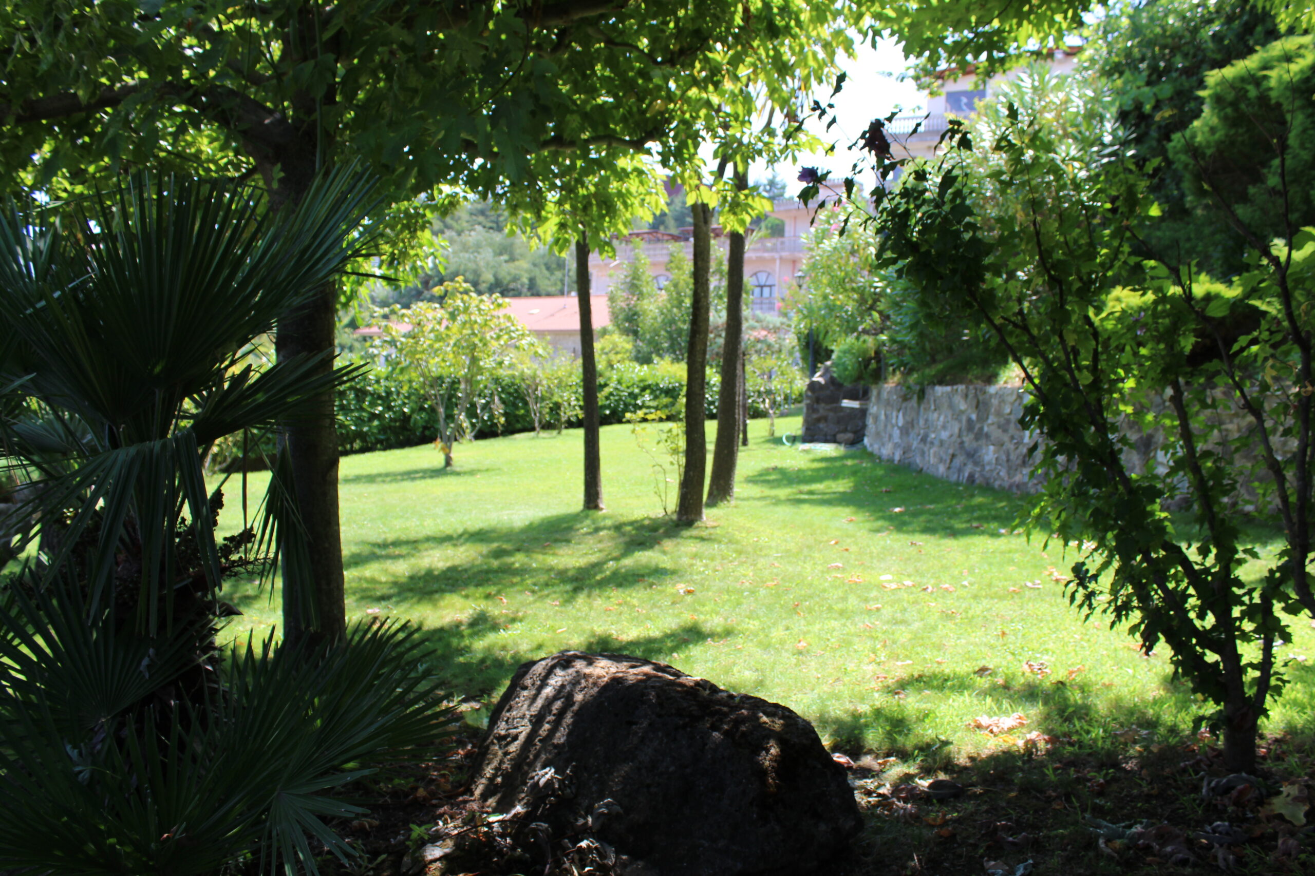 B giardino (5)